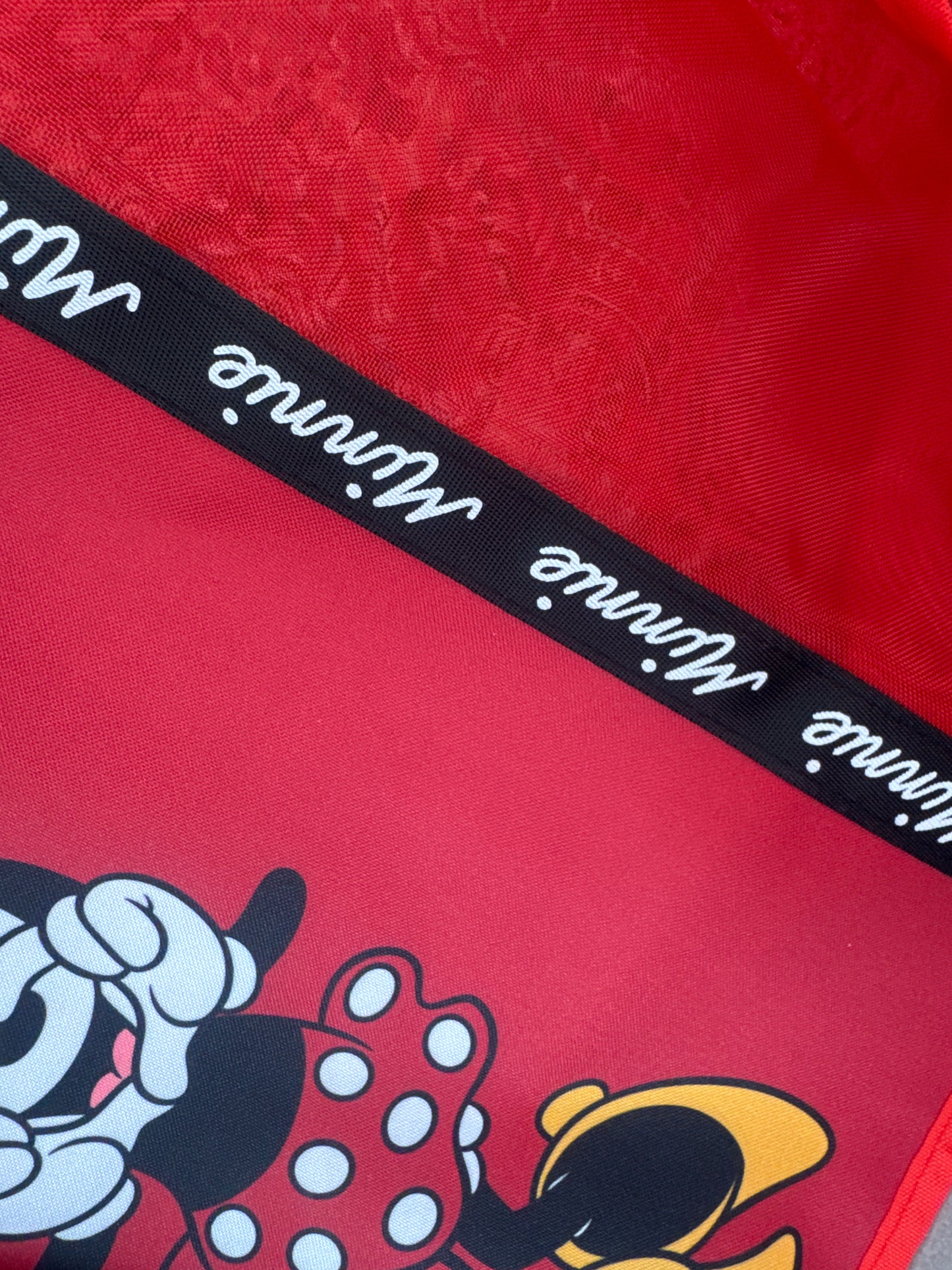 Bolso rejilla playa Disney